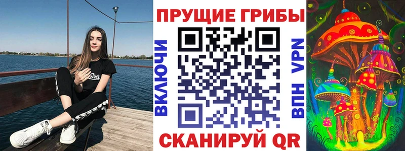 Галлюциногенные грибы Cubensis  Купить где  Серафимович 